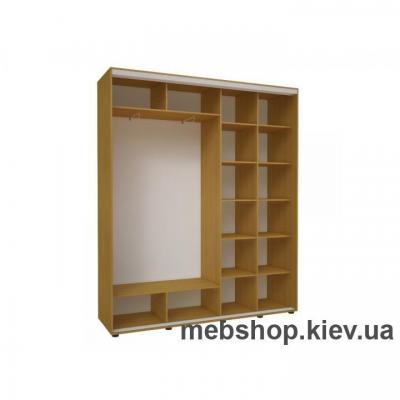Шкаф-купе Эконом №27 (зеркало вставки фотопечать, глубина 450 мм)