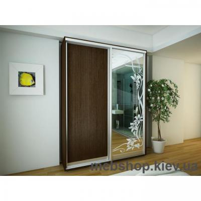 Купить Шкаф-купе Эконом №12 ( ДСП и пескоструй, глубина 600 мм). Фото