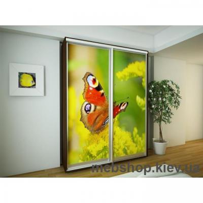 Купить Шкаф-купе Ника 9 (двери фотопечать, глубина 450 мм). Фото