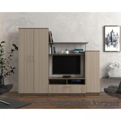 Гостиная № 59 Флешника