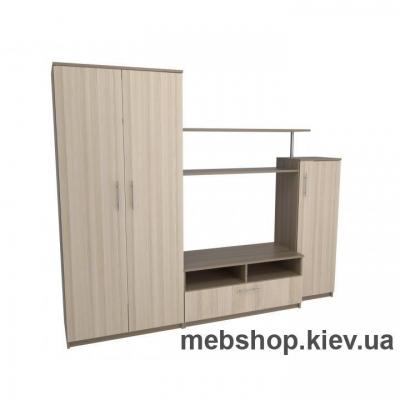 Гостиная № 59 Флешника