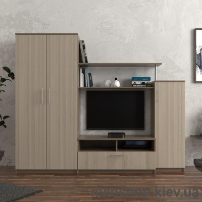 Купить Гостиная № 59 Флешника. Фото