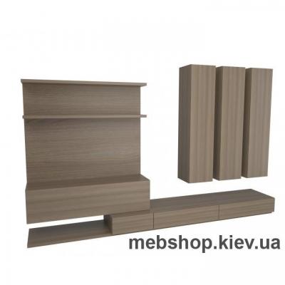 Гостиная № 68 Флешника