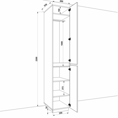 Шкаф распашной HOLD №23 (FLASHNIKA)
