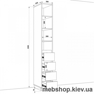 Шкаф распашной HOLD №25 (FLASHNIKA)