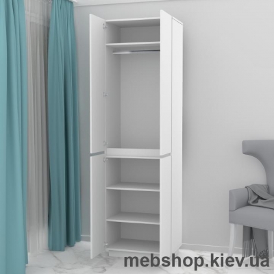 Шкаф распашной HOLD №31 (FLASHNIKA)