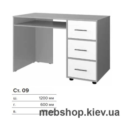 Компьютерный стол СТ-09 (Киевский Стандарт)
