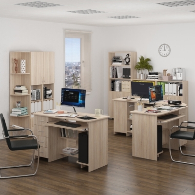 Набор офисной мебели №4 (MaxiМебель)