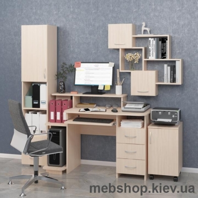 Купить Набор офисной мебели №8 (MaxiМебель). Фото