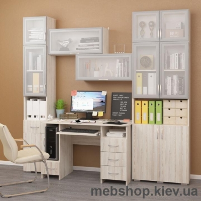 Набор офисной мебели №9 (MaxiМебель)