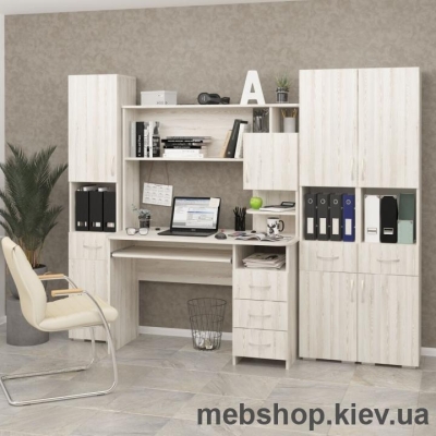 Набір офісних меблів №20 (MaxiМеблі)