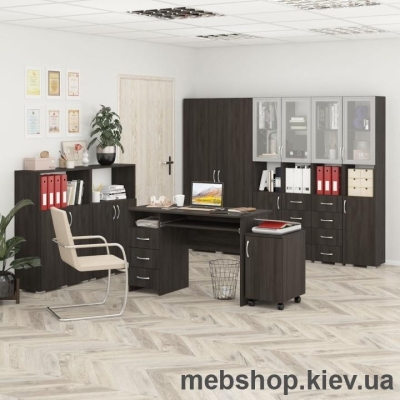 Набор офисной мебели №21 (MaxiМебель)