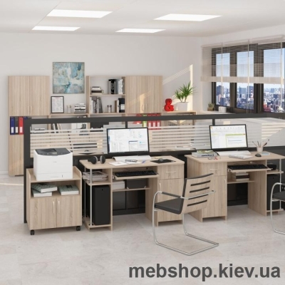 Купить Набор офисной мебели №23 (MaxiМебель). Фото