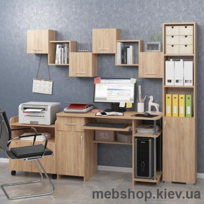 Купить Набор офисной мебели №24 (MaxiМебель). Фото