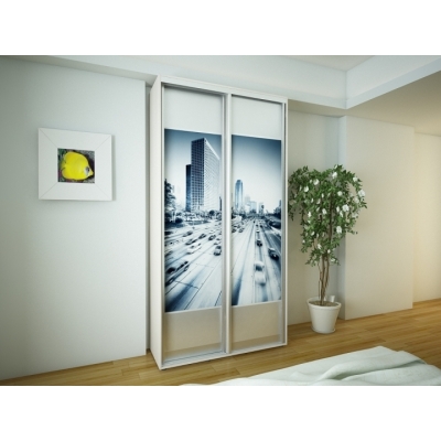 Шафа-купе FLASHNIKA Економ №3 D-600 (фотодрук вставки ДСП) (1200мм x 600мм x 2400мм)