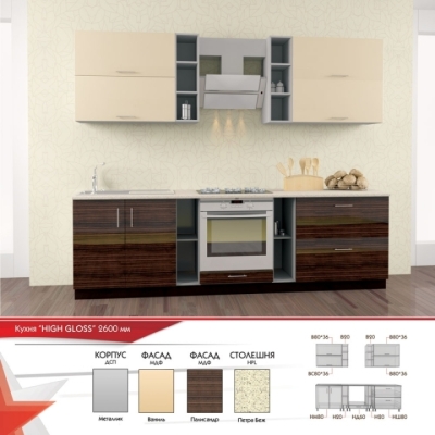 Кухня FLASHNIKA HIGH GLOSS 5 (2600мм x 600мм x 2100мм)