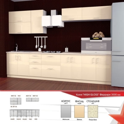 Кухня FLASHNIKA HIGH GLOSS 6 (3000мм x 600мм x 2100мм)