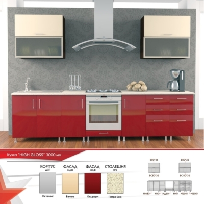 Кухня FLASHNIKA HIGH GLOSS 17 (3000мм x 600мм x 2100мм)