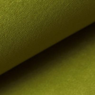 Kai Rock Olivine FRESH LAYER