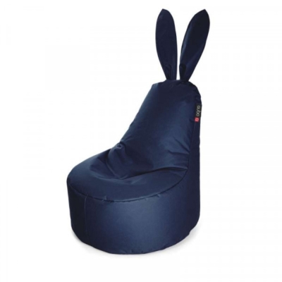 Daddy Rabbit Blueberry POP FIT