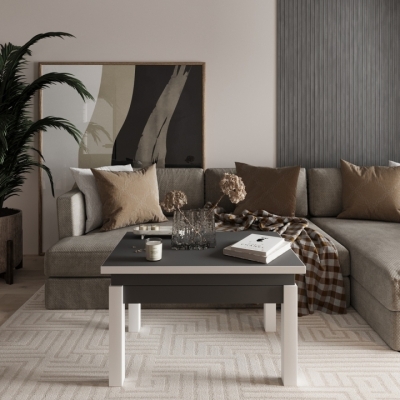 Стол-трансформер Art In Head B-Fly 900x510x600 Графит/Белые ноги (TB09070700110)