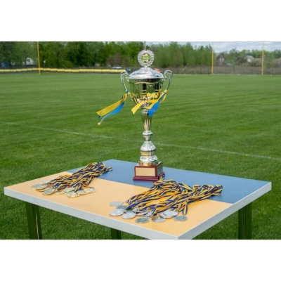 Купить  Стол &quot;Торжественный&quot; (1000x700x730) Дуб Сонома Гамма стиль . Фото 3