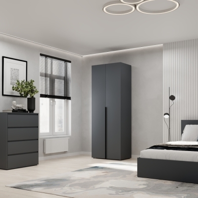 Шкаф распашной 1 Art In Head Light 800x2200x500 Графит (LT11070000000)