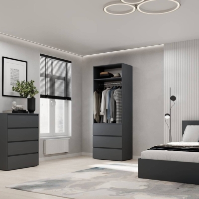 Шкаф распашной 2 Art In Head Light 800x2200x500 Графит (LT12070000000)