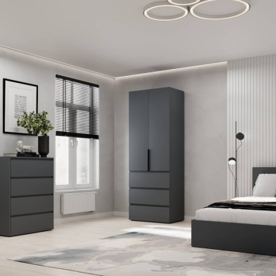 Шкаф распашной 2 Art In Head Light 800x2200x500 Графит (LT12070000000)